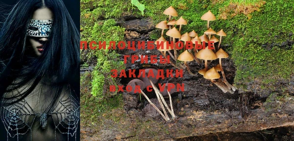 винт Алексин