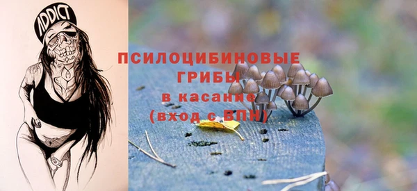 винт Алексин